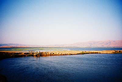 alviso9.jpg