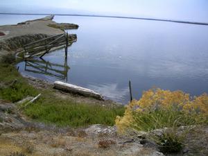 0804alviso2.jpg