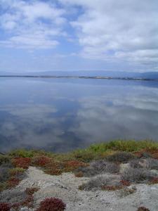 0804alviso4.jpg