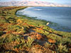 Alviso, trails out in the baylands, July 28, 2002