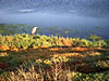 Alviso, trails out in the baylands, July 28, 2002