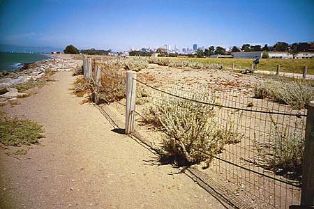 looking back towards crissy field, san francisco, july 2002