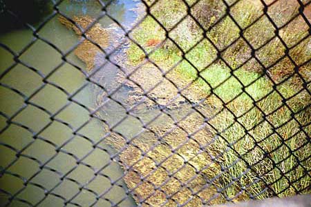 creek, coyote creek, july 2002