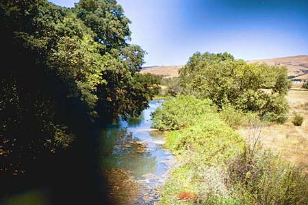 creek, coyote creek, july 2002