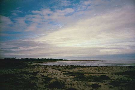 beach at asilomar, june 2002 :: copyright erin malone 2002