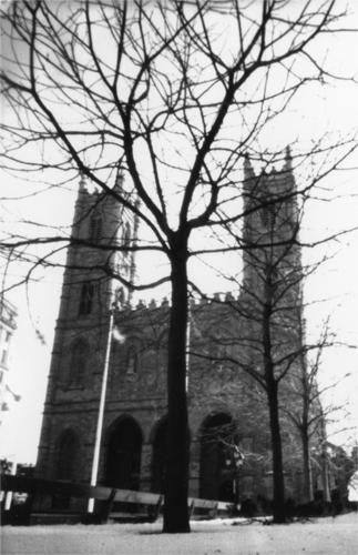 notredameBasilica_crop.jpg