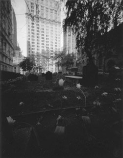 An old graveyard in a church yard near ground zero, New Yok City